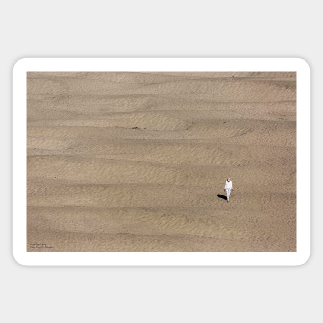 Dunes And Solitude © Sticker by PrinceJohn